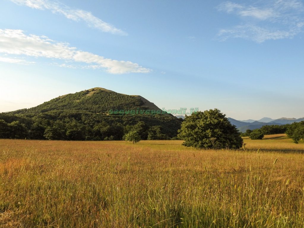 Monte Alago