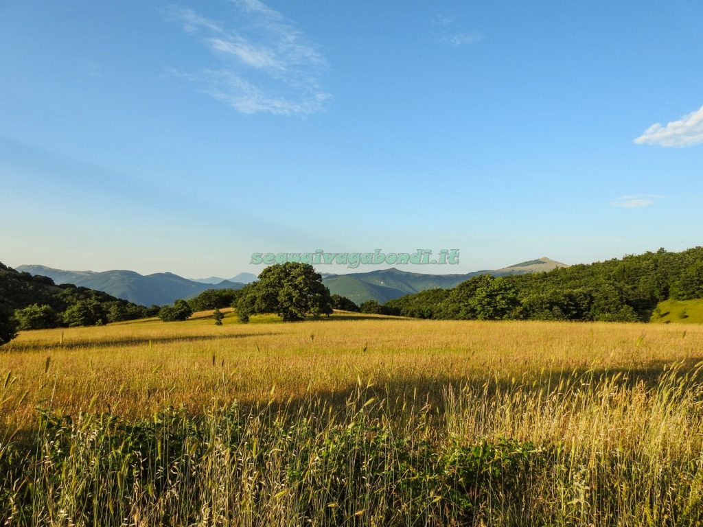 Monte Alago