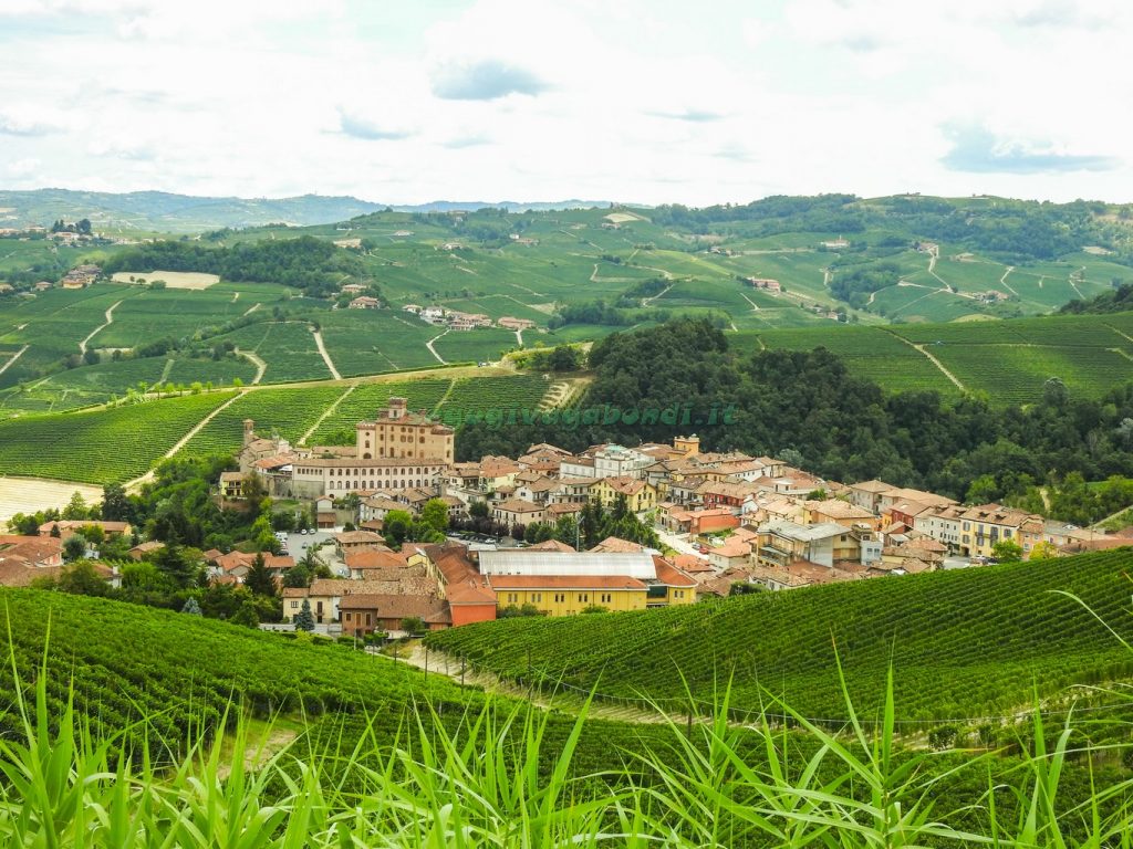 Un giorno nelle Langhe: Barolo