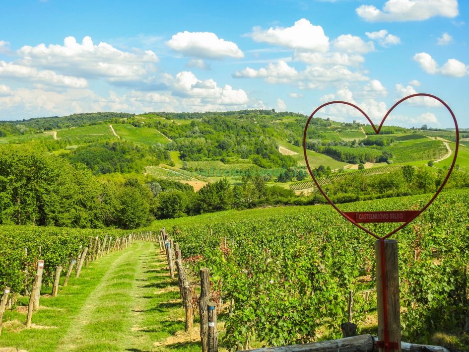 monferrato-cosa-vedere-in-un-giorno-tra-borghi-e-vigneti