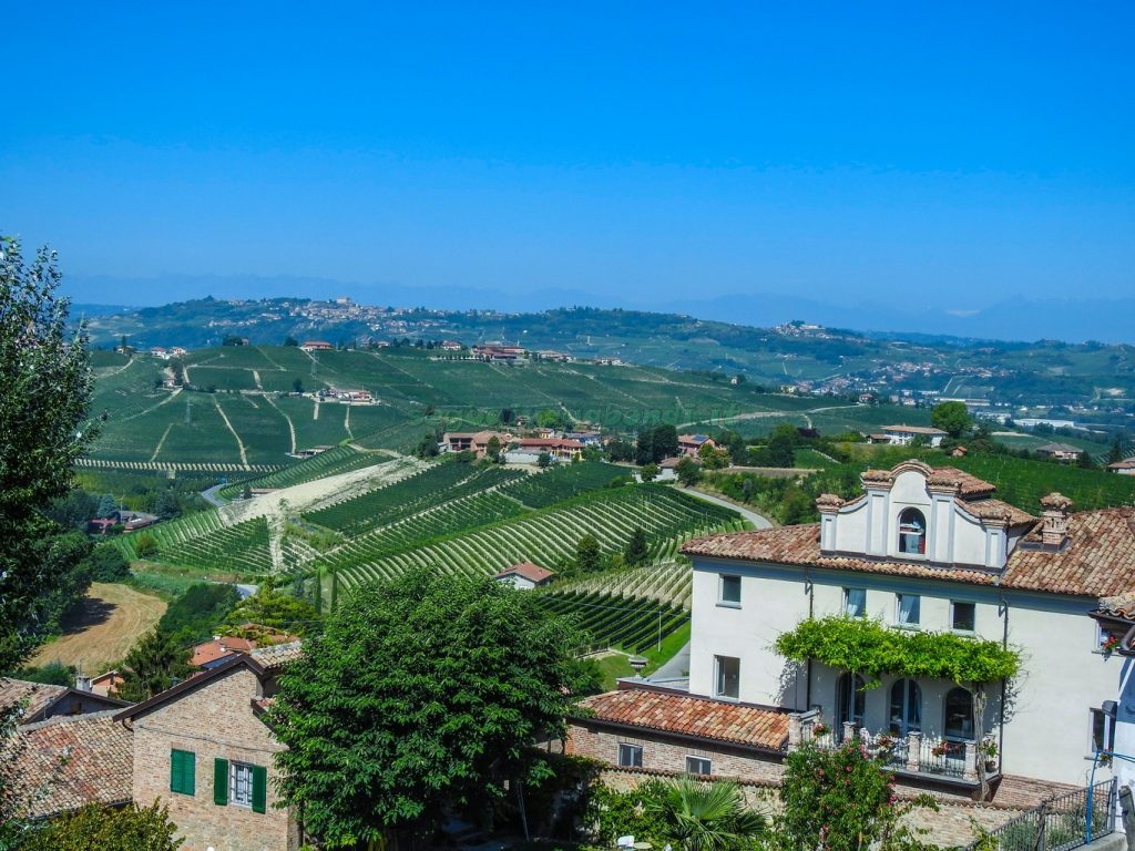 Itinerario nelle Langhe tra Barbaresco e Neive