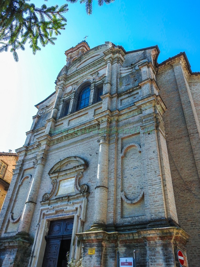 Itinerario nelle Langhe tra Barbaresco e Neive