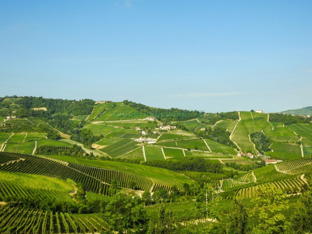 Un giorno nelle Langhe