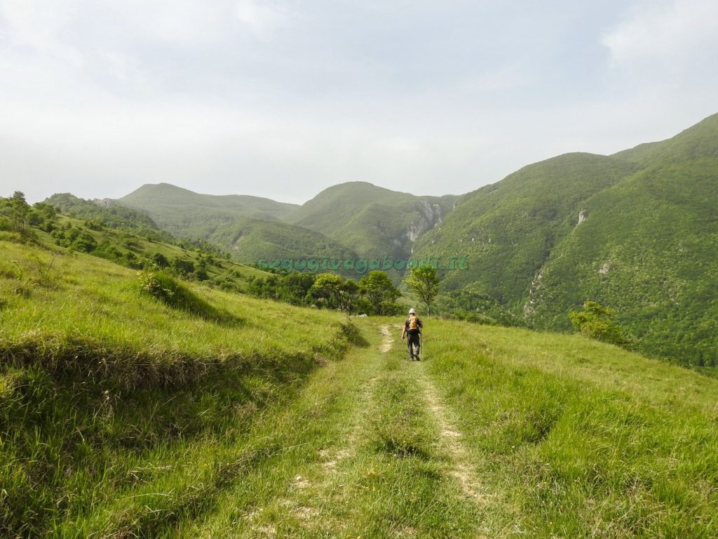 Valle d'Angri