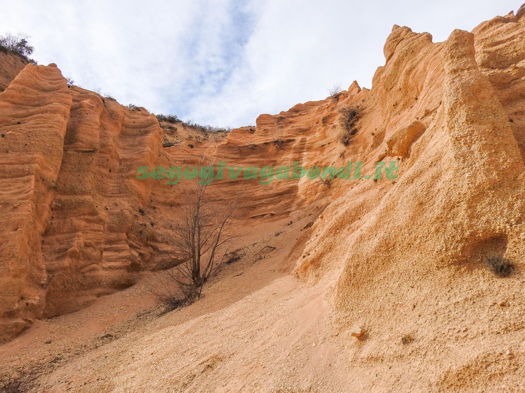 Lame Rosse