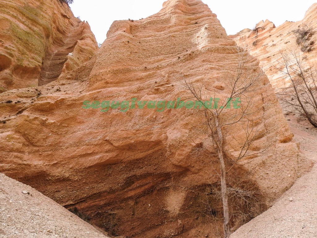 Lame Rosse