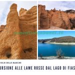 Lame Rosse