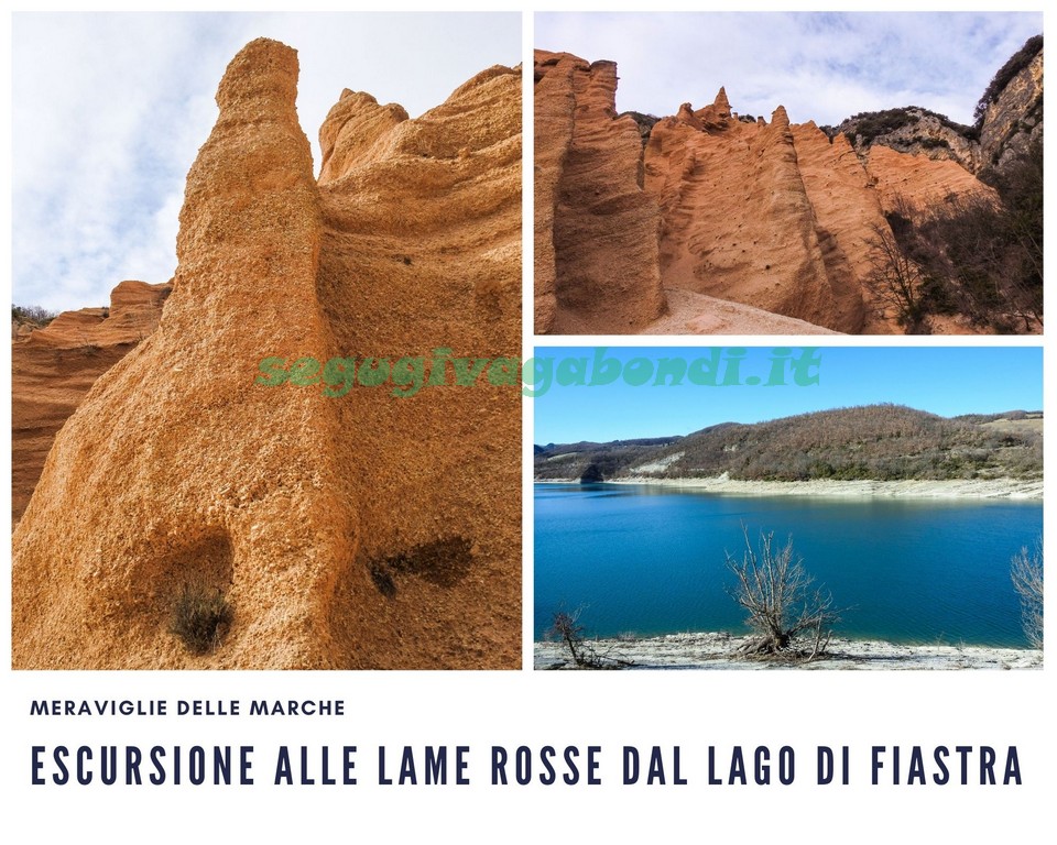 Lame Rosse