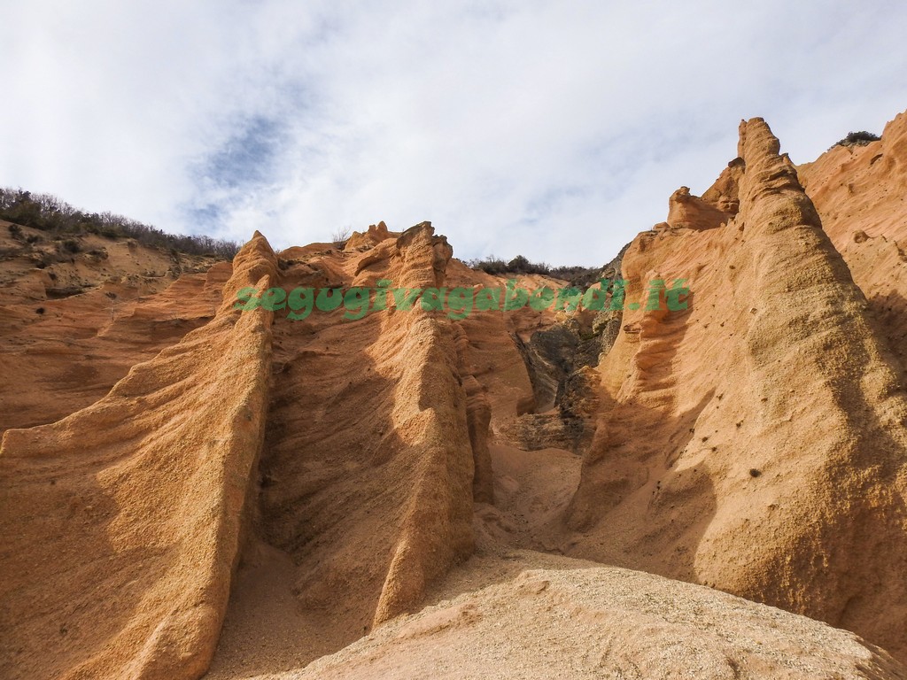 Lame Rosse