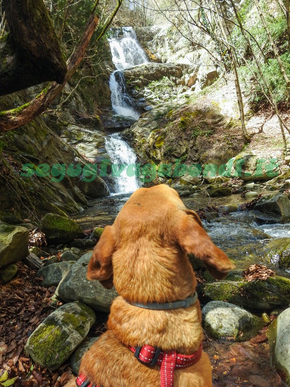 Cascate Cantagalli