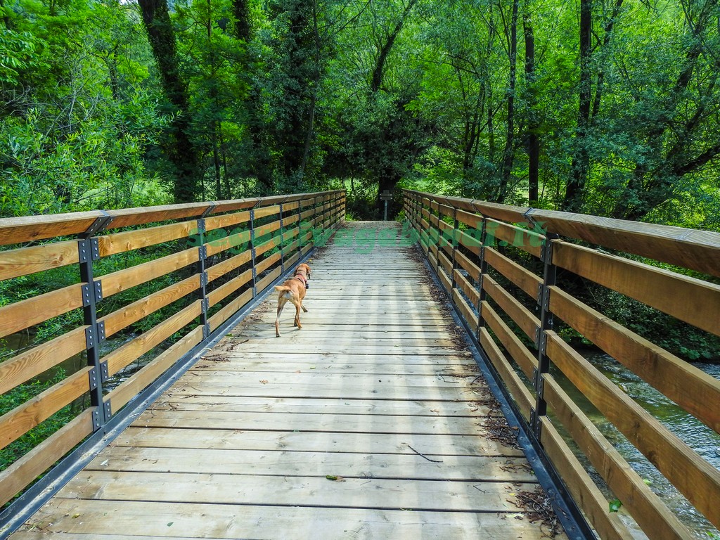 Ponte sul Mulino