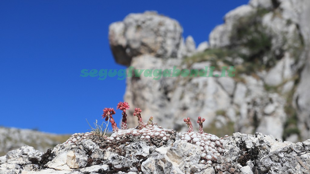 Canyon dello Scoppaturo