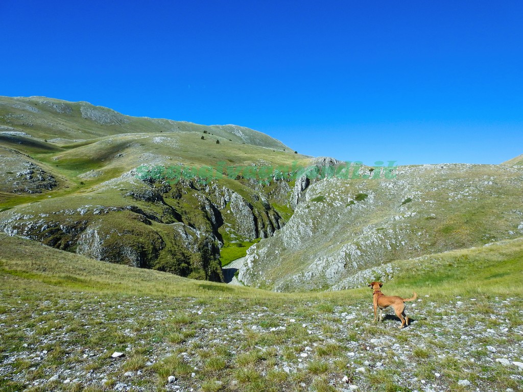 Canyon dello Scoppaturo