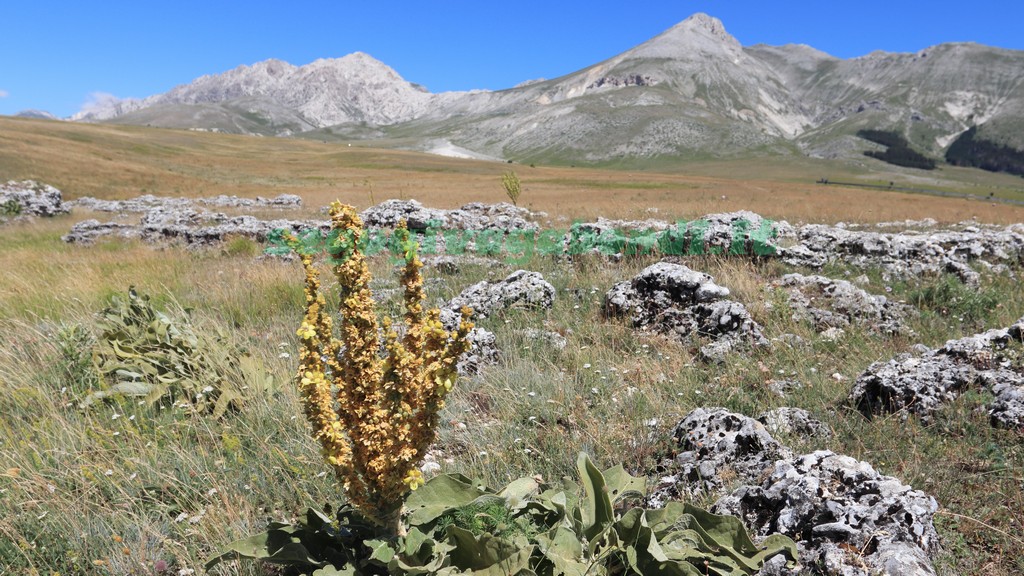 Campo Imperatore