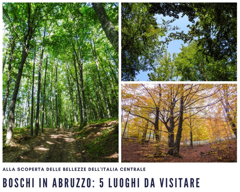 Boschi in Abruzzo