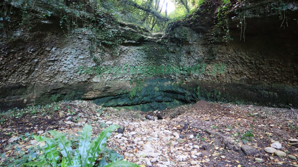 Grotta delle Farfalle