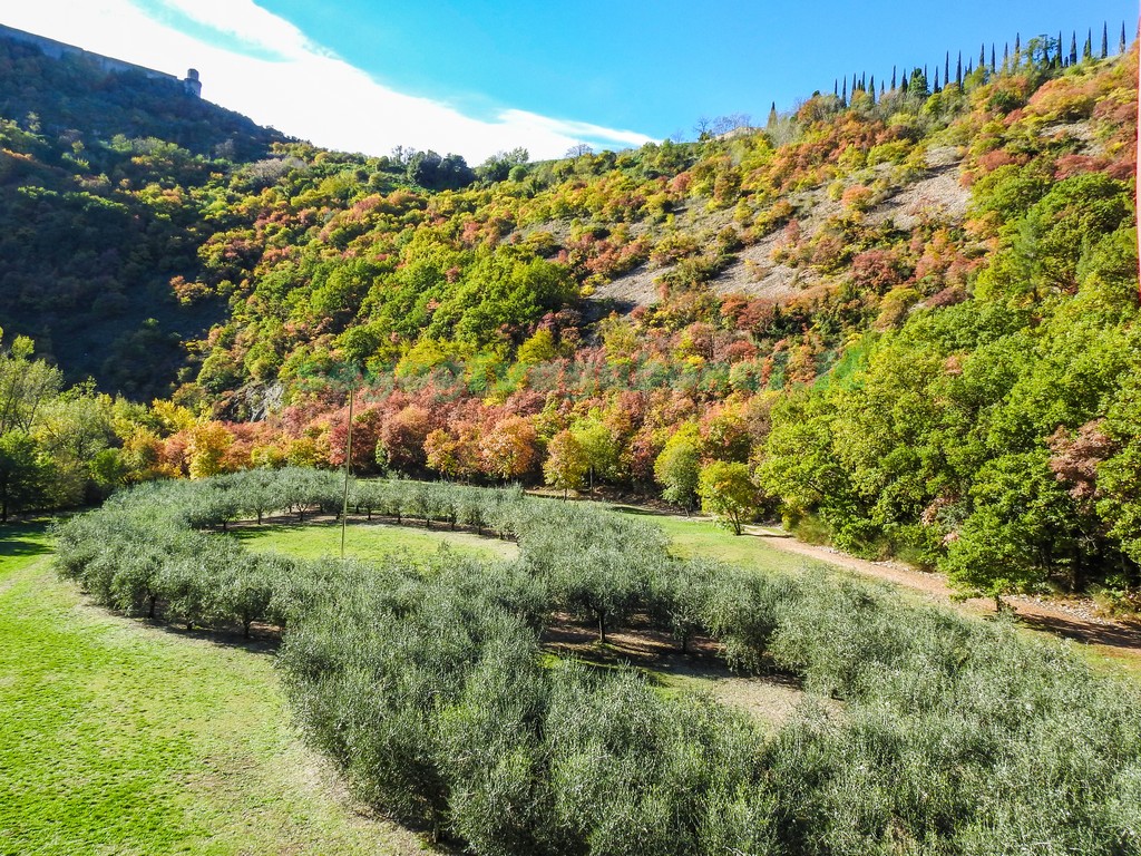 Terzo Paradiso Assisi