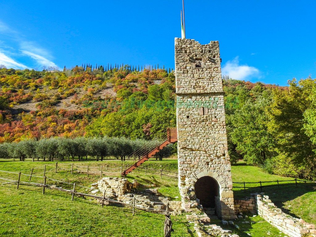 Bosco di San Francesco