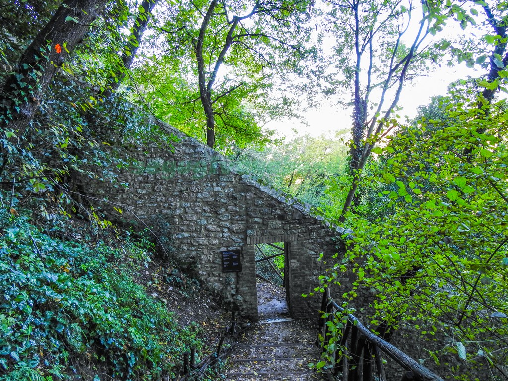 Bosco di San Francesco