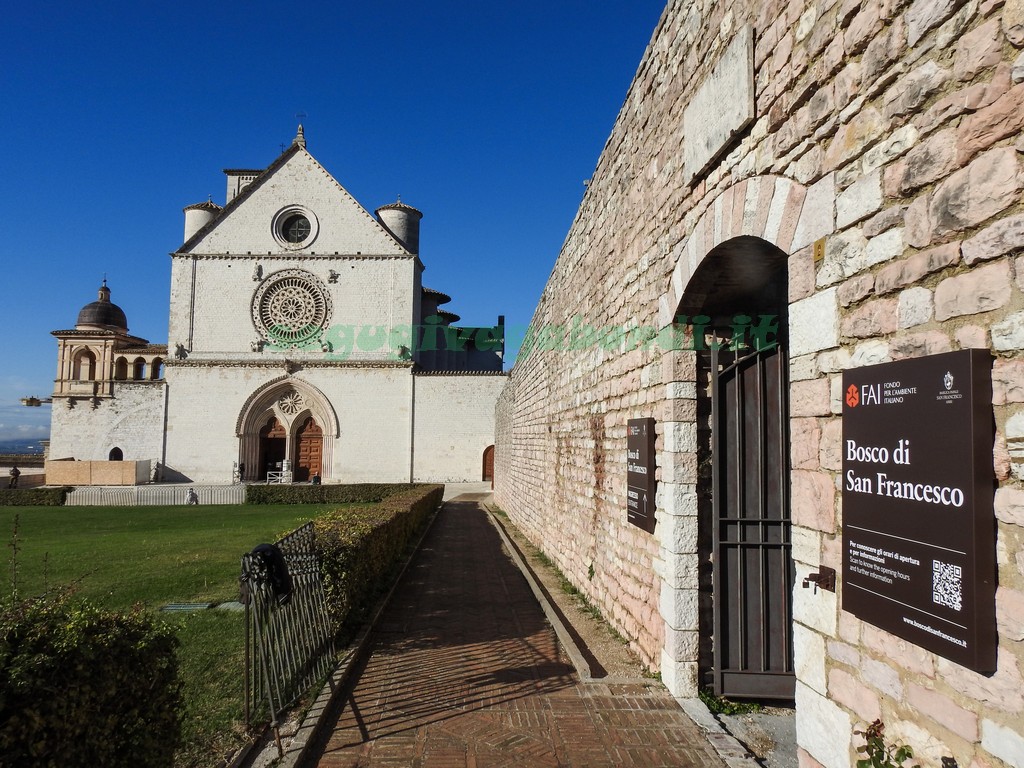 Basilica San Francesco Assisi