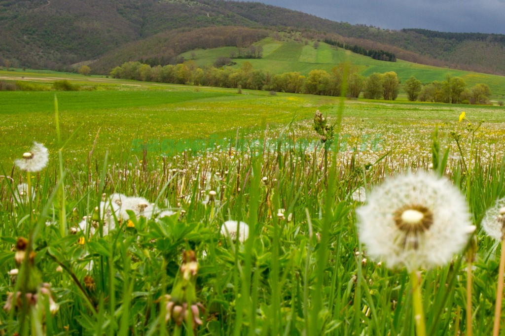 Parco regionale di Colfiorito