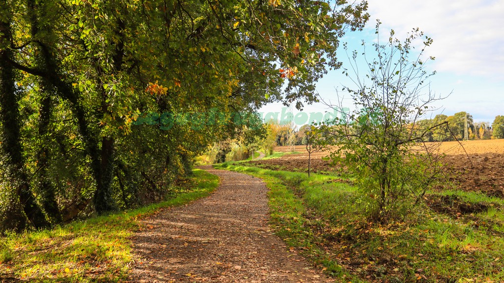 Parco dei Mulini Torgiano