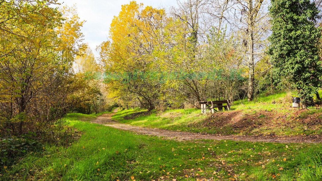 Parco dei Mulini Torgiano