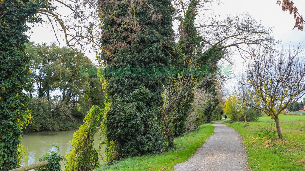 Parco dei Mulini Torgiano