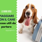 Viaggiare con il cane