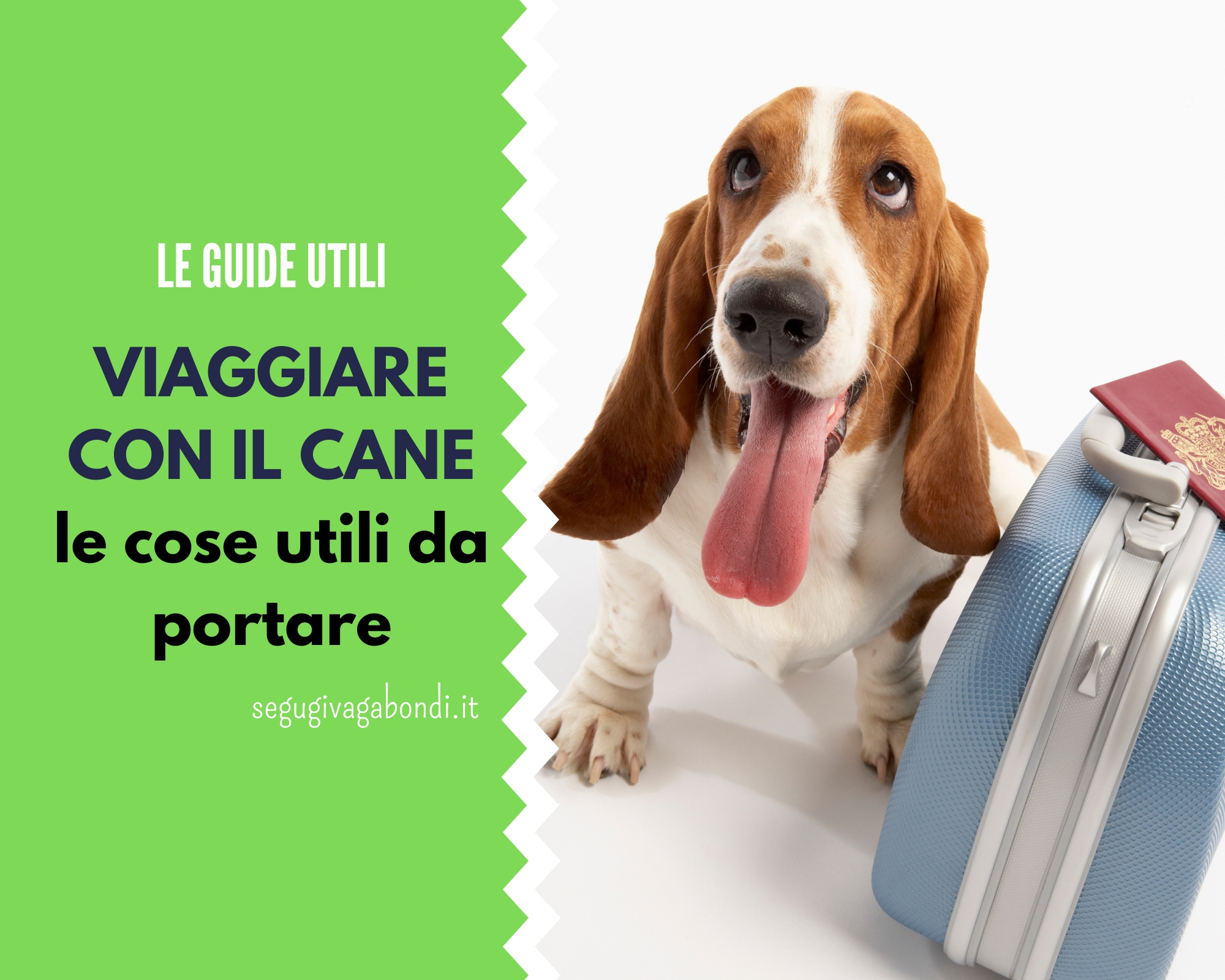 Viaggiare con il cane