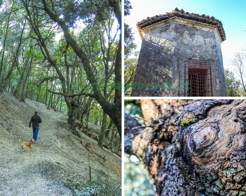 Passeggiata dell'Abate