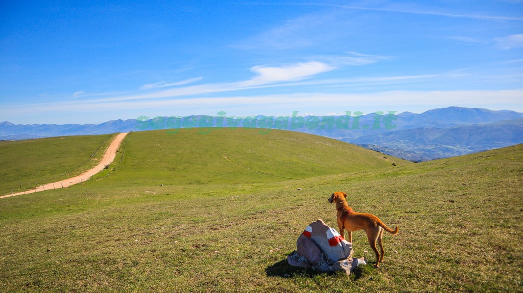 Monte Subasio