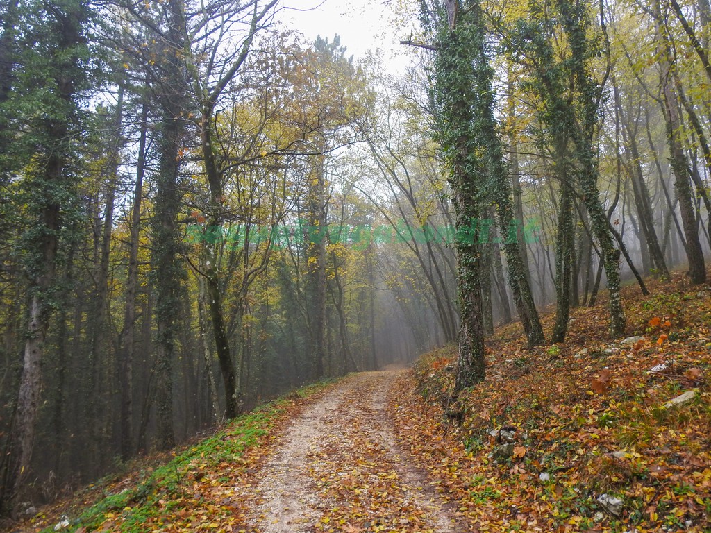 Monte Subasio