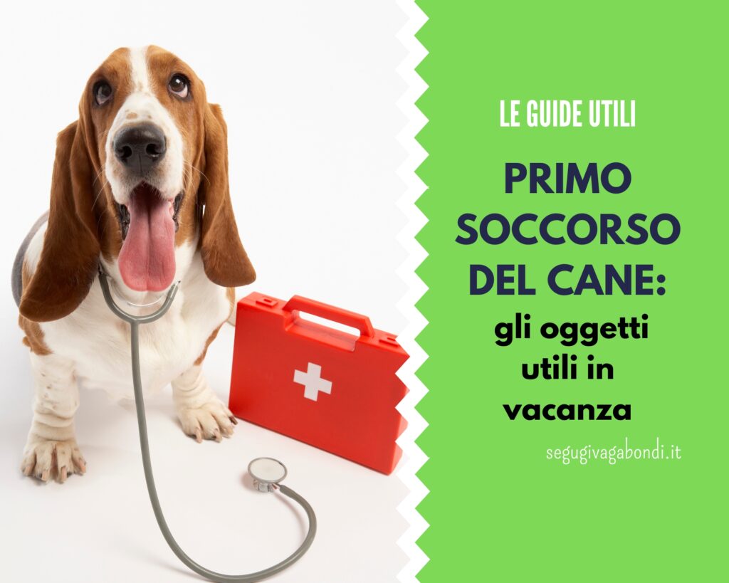 Primo soccorso del cane