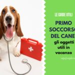 Primo soccorso del cane