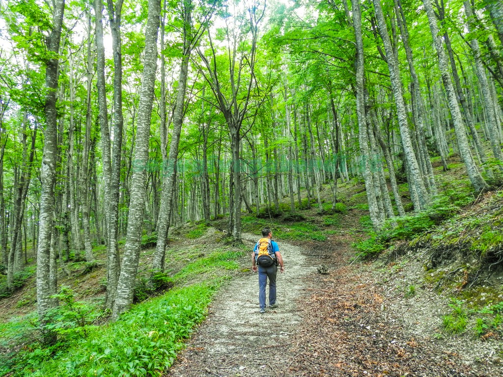 Bosco di Pietralunga Abruzzo