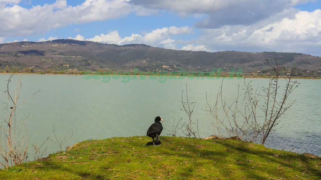 Isola Maggiore