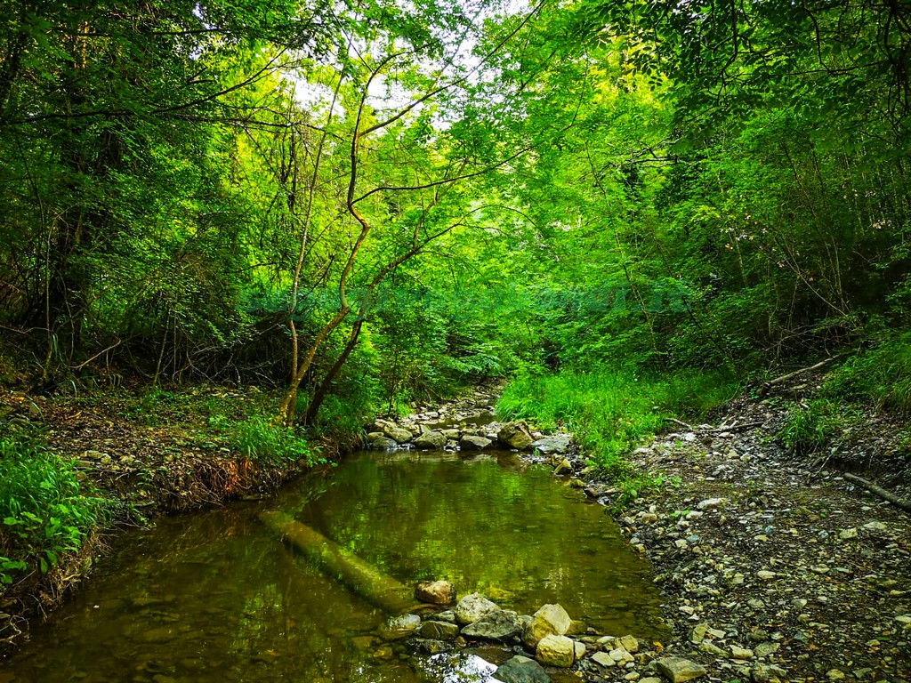 Torrente Egola