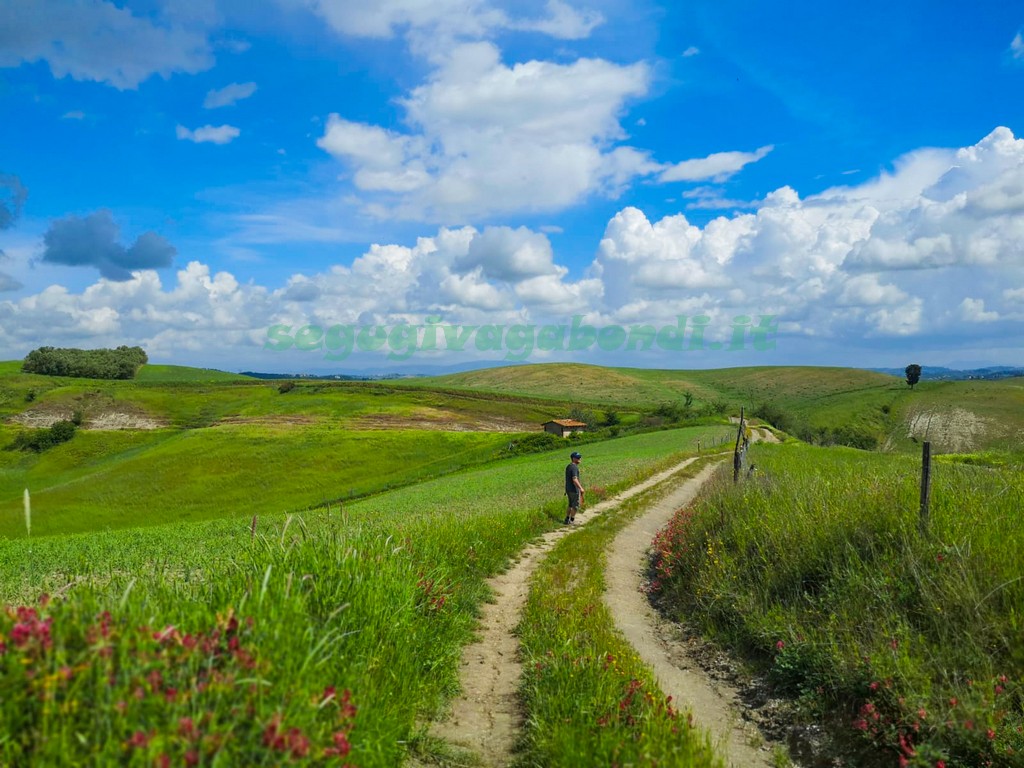 Via Francigena