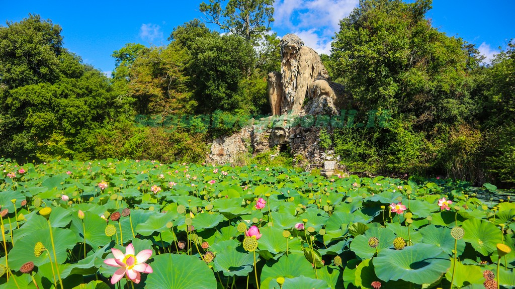 Parco mediceo di Pratolino