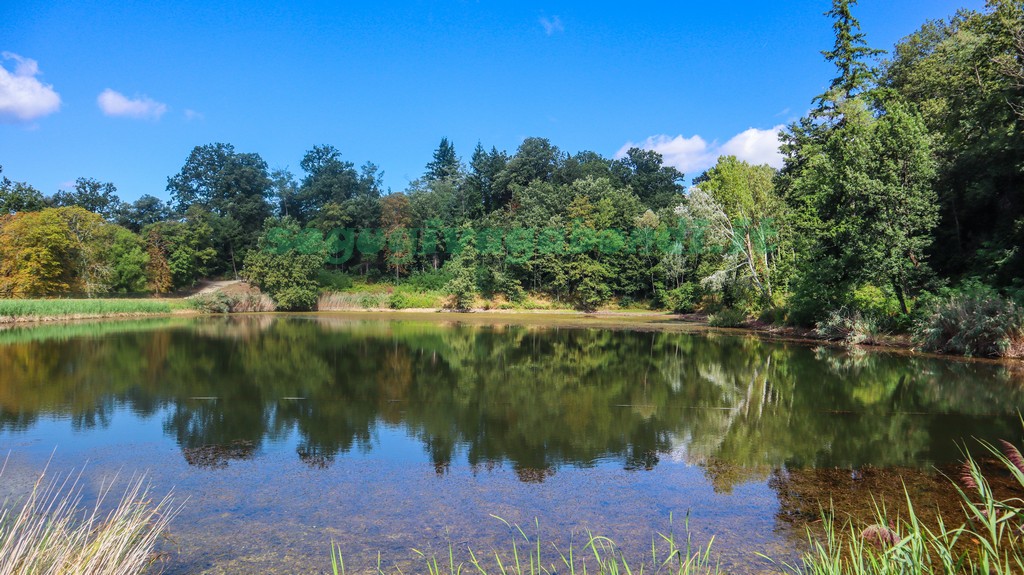 Parco mediceo di Pratolino