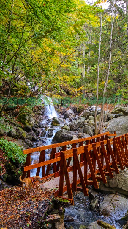 Cascata del Pis Limone Piemonte