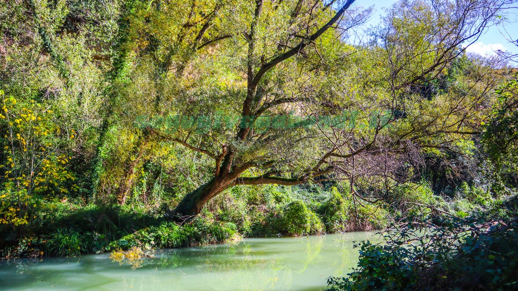 Parco fluviale dell'Elsa