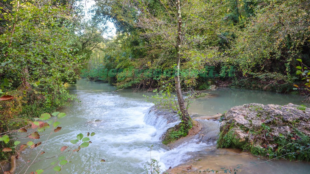 Parco fluviale dell'Elsa