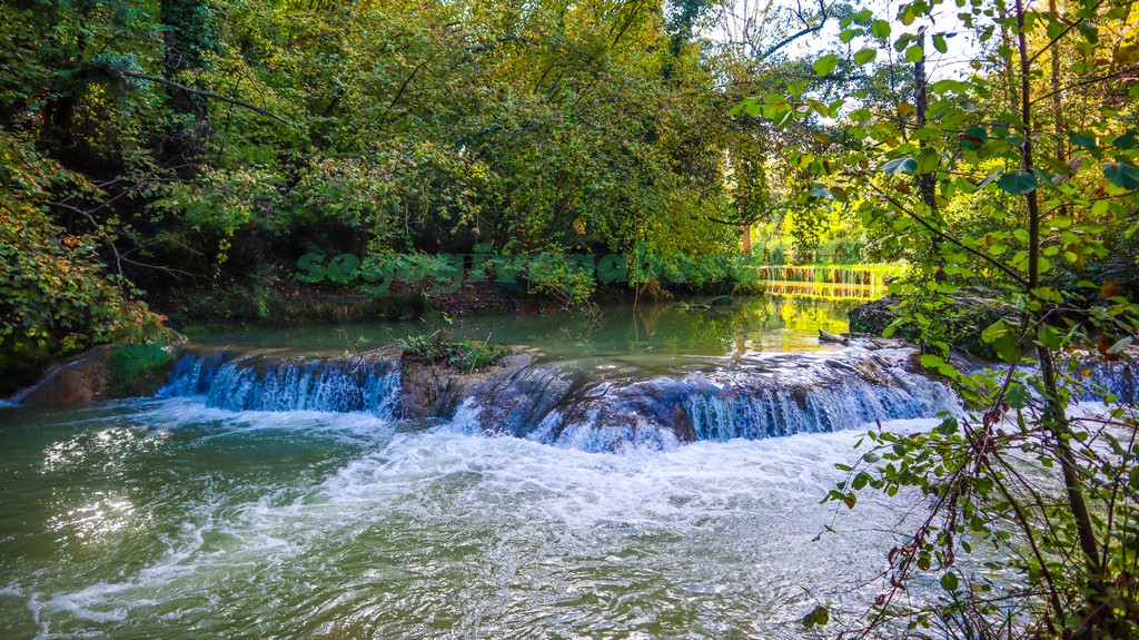 Parco fluviale dell'Elsa