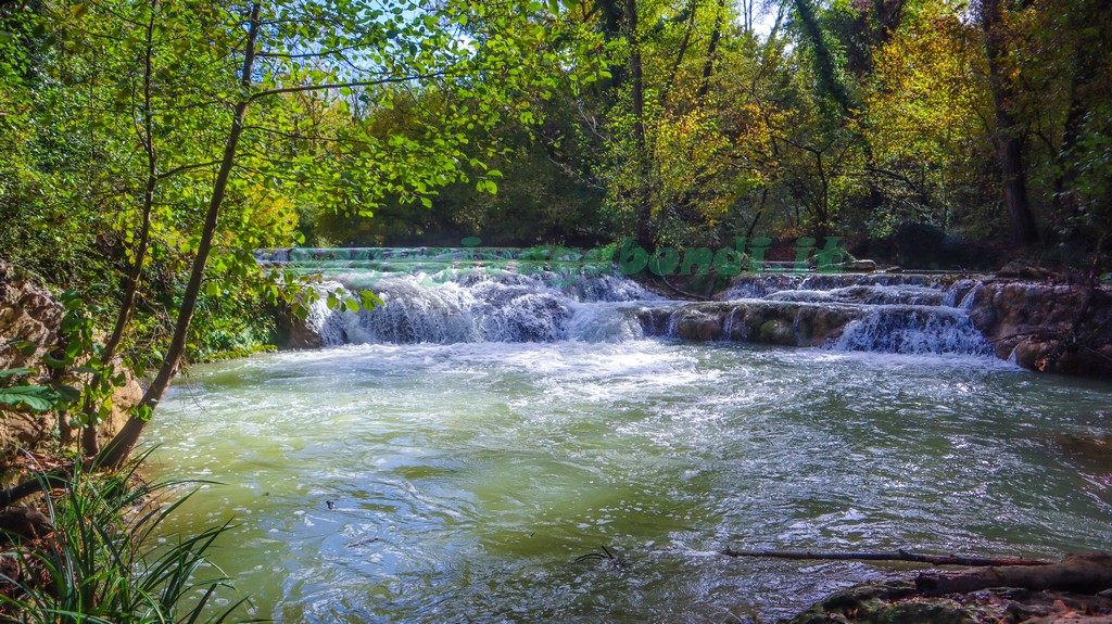 Parco fluviale dell'Elsa