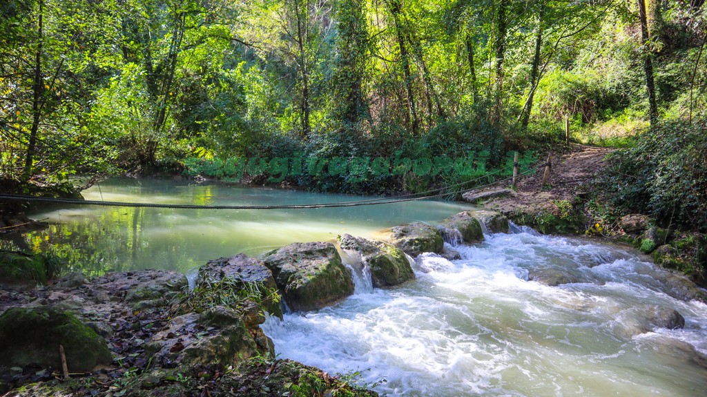 Parco fluviale dell'Elsa