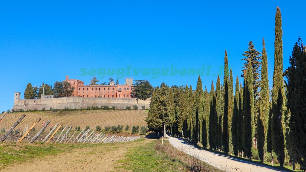 Gaiole in Chianti