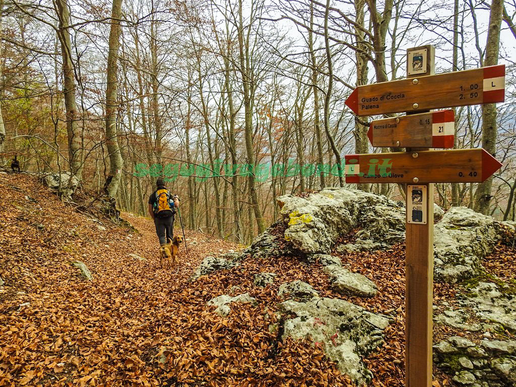 Eremo della Madonna di Coccia