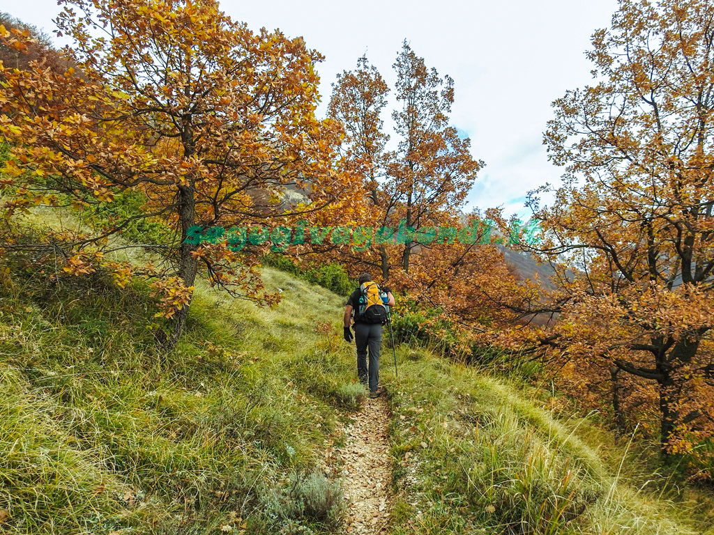 Eremo della Madonna di Coccia